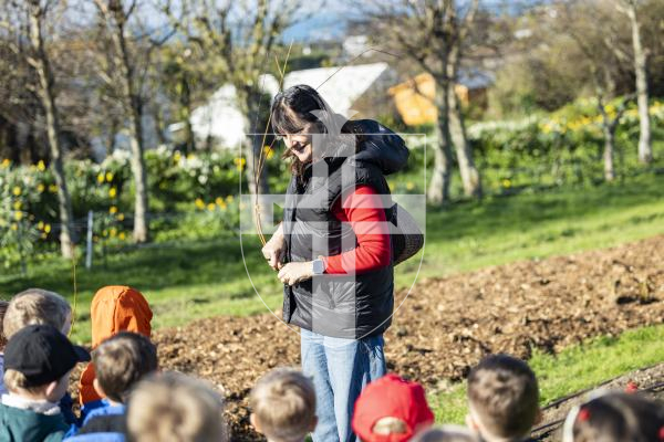 Picture by Sophie Rabey.  04-03-26.  Reception children from Vale Primary School enjoyed a trip to Les Adams Farm (the 6 acre regenerative agriculture project) as part of the States of Guernsey's Cultural Enrichment Programme.
Isabelle Edward showing the children the area.