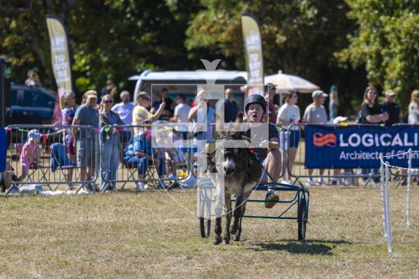 Picture by Peter Frankland. 22-08-26 Lions Club of Guernsey Donkey Derby 2026 at Saumarez Park. The John Randall Sulky Race. Bailiwick Express - Jack Silver.
