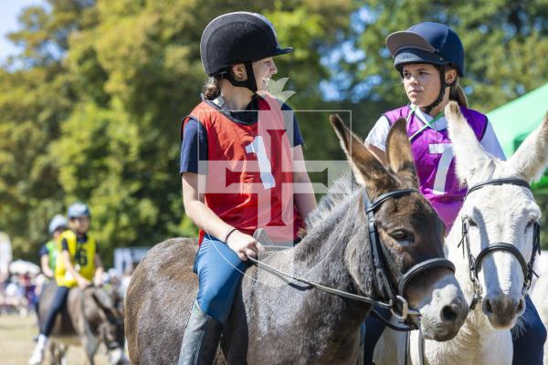 Picture by Peter Frankland. 22-08-26 Lions Club of Guernsey Donkey Derby 2026 at Saumarez Park.