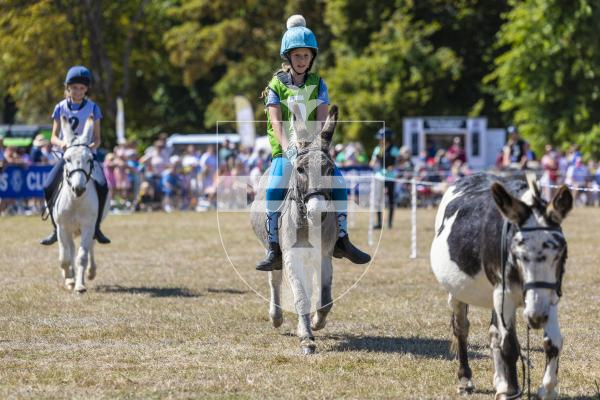 Picture by Peter Frankland. 22-08-26 Lions Club of Guernsey Donkey Derby 2026 at Saumarez Park.