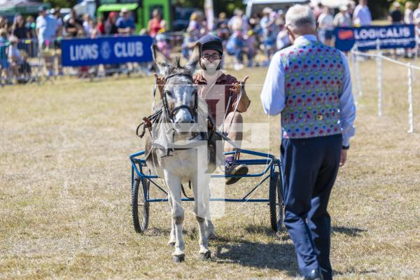 Picture by Peter Frankland. 22-08-26 Lions Club of Guernsey Donkey Derby 2026 at Saumarez Park. The John Randall Sulky Race. Matthew Leach of ITV.