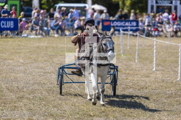 Picture by Peter Frankland. 22-08-26 Lions Club of Guernsey Donkey Derby 2026 at Saumarez Park. The John Randall Sulky Race. Matthew Leach of ITV.