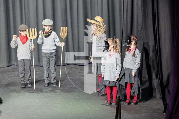 Picture by Sophie Rabey.  14-03-25.  Guernsey Eisteddfod 2025 at Beau Sejour. 
Friday 14th March - Morning Session.  
Class M208 - CHOIRS, INFANT SCHOOL AGE, UNISON SINGING (The Colleges Trophy)
Blanchelande College Infant Choir -  Mr Scarecrow and The Baby Baboon Loved The Blues