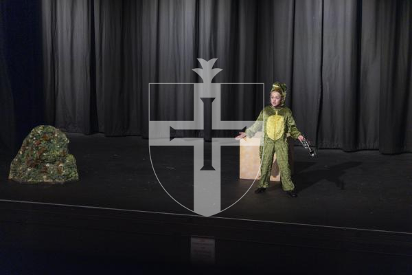 Picture by Peter Frankland. 09-03-26 Eisteddfod 2026 -  Class D039 - Musical Character Studies 9 and Under 11. Imogen Bold - The Princess and the Frog.