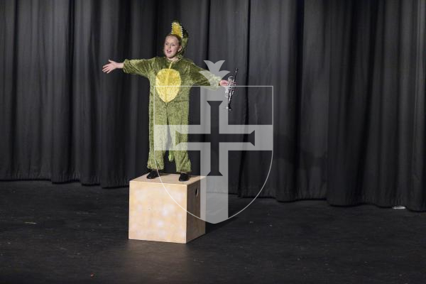 Picture by Peter Frankland. 09-03-26 Eisteddfod 2026 -  Class D039 - Musical Character Studies 9 and Under 11. Imogen Bold - The Princess and the Frog.
