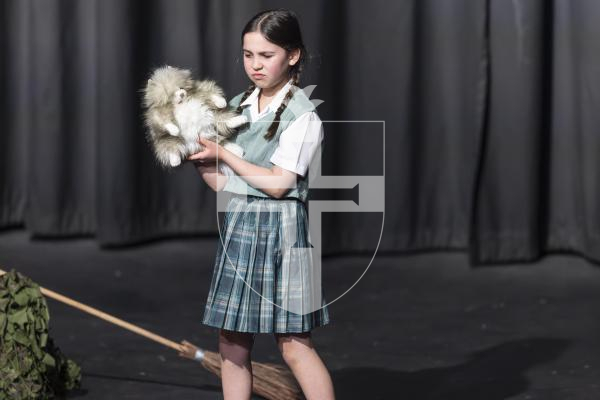 Picture by Peter Frankland. 10-03-26 Eisteddfod 2026 -  Class D029 - Character Studies 11 and Under 13. Alexa Grime - The Worst Witch.
