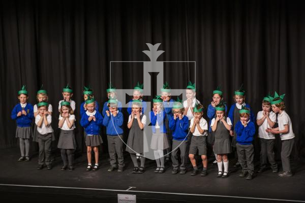 Picture by Sophie Rabey.  06-03-24.  Guernsey Eisteddfod 2024.  Wednesday 6th March - Afternoon Session.
CLASS 154 - GROUP SPEAKING UNDER 7 YEARS (School Years 2 & Below).
“Own Choice” - Time Limit: 3 minutes.  (The Vi Tostevin Cup.
La Houguette Primary School - I Dressed up as a Dinosaur.