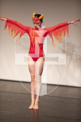 Picture by Connor Rabey.  31-05-24.  
2024 Guernsey Dance Awards - Friday 31 May 2024.
SESSION 1 - 2 - KSG - Children Solo Greek.
The Phoenix Rises - Emilia Lane - Avril Earl Dance and Theatre Arts Centre Ltd (Guernsey).