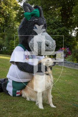 Picture by Luke Le Prevost. 20-07-23.Vin d'Honneur at Government House - Island Games Guernsey 2023 athletes, organisers and volunteers gathered to celebrate their achievements. L-R Darcy the Donkey and Mustard, the Lt Governor’s dog