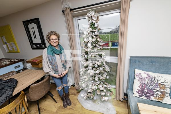 Picture by Sophie Rabey.  11-12-25.   Demelza Newsome has finished her ormer christmas tree for Sylvans Clubhouse.  It was a community project as she asked people to donate any shells they had at the beginning of the year.
