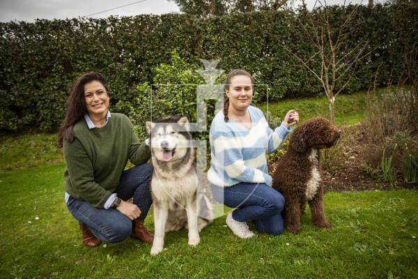 Picture by Sophie Rabey.  09-02-24.  Nicola Brouard (left) and Jodie Trebert (right) have recently had dogs that were crowned UK champions.
Nicola Brouard with her Alaskan Malamute, Coconut (UK + JSY CH SUTARKA COCO CHANEL AT ORSAMALS PdH) and Jodie Trebert with Spanish Water Dog, Seve, (UK CH VALENTISIMO’S BALLESTEROS PdH).