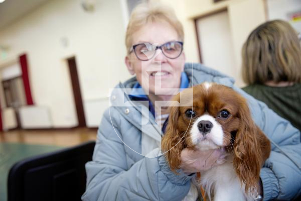 Picture by Peter Frankland. 28-01-24 Guernsey Kennel Club Crufts qualifiers. Shari Bennett with Basil - A Cavalier King Charles Spaniel.