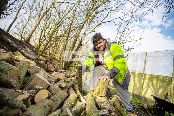 Picture by Sophie Rabey.  29-01-24.  Feature on Education in Guernsey Prison.  Martyn Clarke who is working on "Redband" duties, chopping up trees for logs to sell in the store.