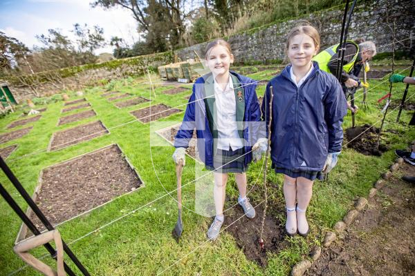 Picture by Sophie Rabey.  05-03-24.  A small group of students from The Ladies College visited the Victorian Walled Garden at Saumarez Park to help plant pear whips.
Francesca Collenette (12) and Monroe Youlton (11) are two students in the Gardening Club at school.