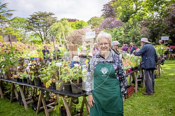 Picture by Sophie Rabey.  27-05-24.  Giant Plant Sale at Saumarez Manor - Plant Heritage Guernsey's biggest event of the year, people were in the queue from an hour before the gates opened.
Linda Fermont (organiser).