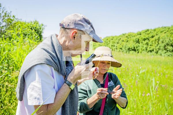 Pictured by Connor Rabey. 01/06/2024.
La Societe Orchid walk around the fields at Les Vicheries in St Peter’s.
L-R Paul Meader and Helen Litchfield.
