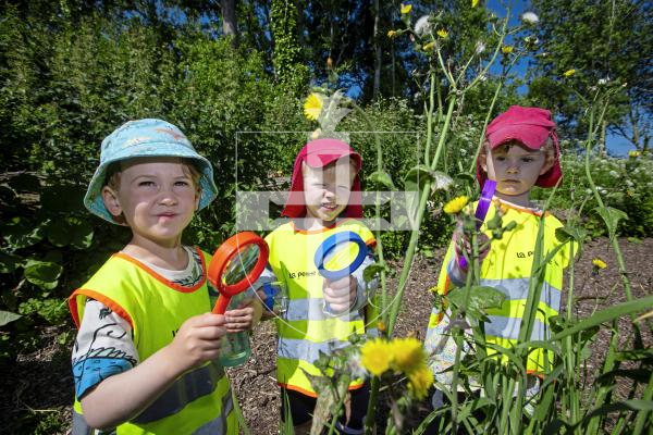 Picture by Peter Frankland. 05-06-24 Wild Wednesdays for early years children to discover nature activities at KGV. L-R - Max, 3, Jack, 4 and Lola, 4 from La Petit Ecole looking for insects.