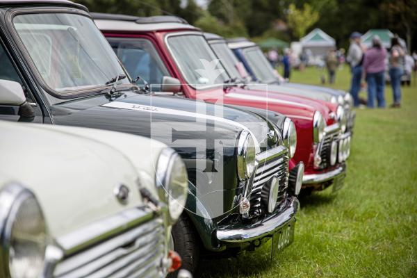 Picture by Connor Rabey.  16-06-24.  Guernsey Classic Car Show at Saumarez Park.
Minis.