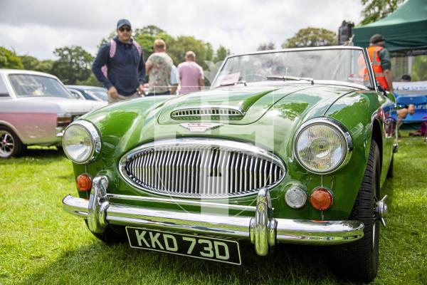 Picture by Connor Rabey.  16-06-24.  Guernsey Classic Car Show at Saumarez Park.
Austin Healey 3000 Mk3.