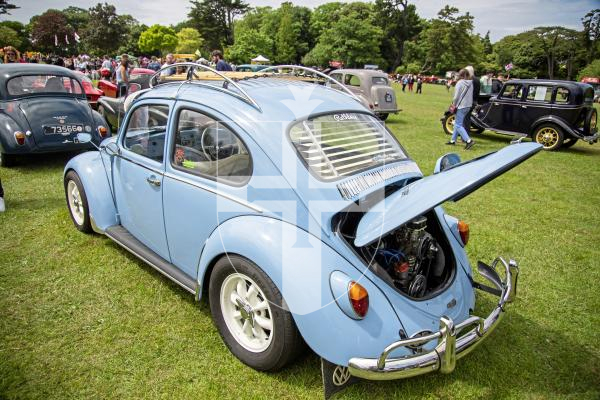 Picture by Connor Rabey.  16-06-24.  Guernsey Classic Car Show at Saumarez Park.
VW Beetle.