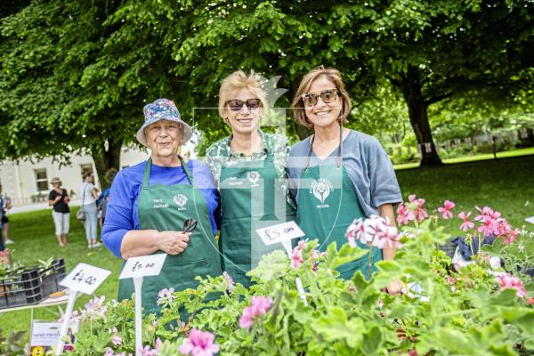 Picture by Sophie Rabey.  23-06-24.  Charities Fete at Government House.  There were lots of stands and activities happening throughout the afternoon.
Plant Heritage - L-R Rose Rankilor, Caroline Dawe and Maggie Thompson.