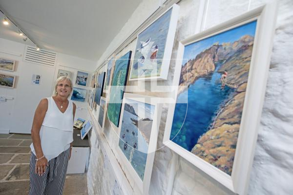 Picture by Peter Frankland. 24-06-24 Artist Gill Harrison is holding an exhibition of her work at Saumarez Park Gallery.