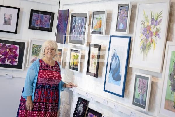 Picture by Peter Frankland. 30-06-25 Art exhibition at Art in the Park at Saumarez Park. Linda Falla