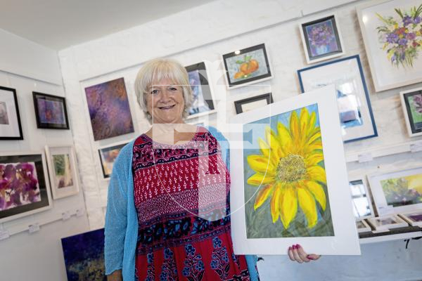 Picture by Peter Frankland. 30-06-25 Art exhibition at Art in the Park at Saumarez Park. Linda Falla
