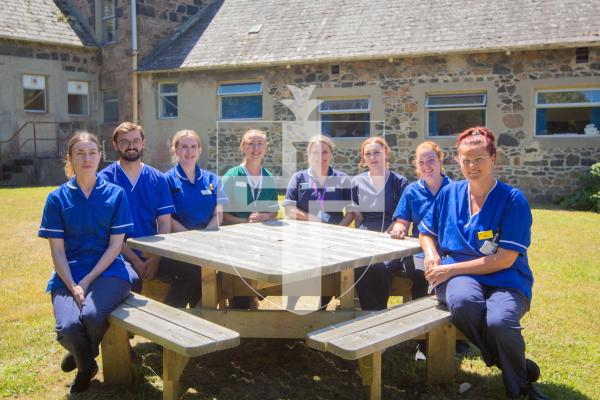 Pictures by Erin Vaudin. 03.07.2025. Pride of Guernsey 2025. The Community Nurses - South Team have been nominated for the carer of the year award.