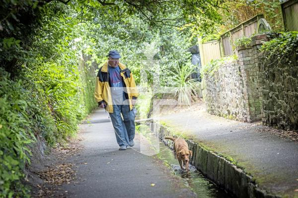 Picture by Peter Frankland. 07-07-25 A petition has been started against the proposals to cover the stream in the Water Lanes to allow cyclists to use the area.  Phil Smith with his dog.
