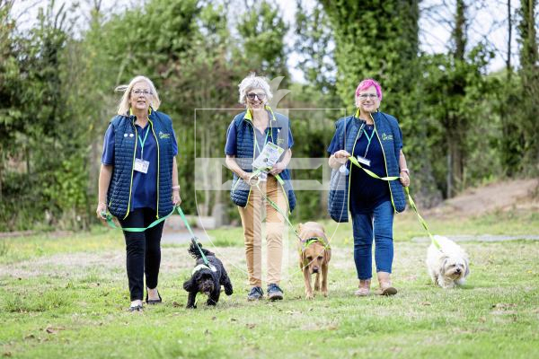 Picture by Peter Frankland. 09-09-25  Wellbeing Animals Guernsey will be starting their 10 parish walks this Sunday. The first leaves from St Saviours Community Centre. L-R - Sadie Bewey with Miss Molly, Marguerite Talmage with Pepper and Janine Le Cras with Robbie.