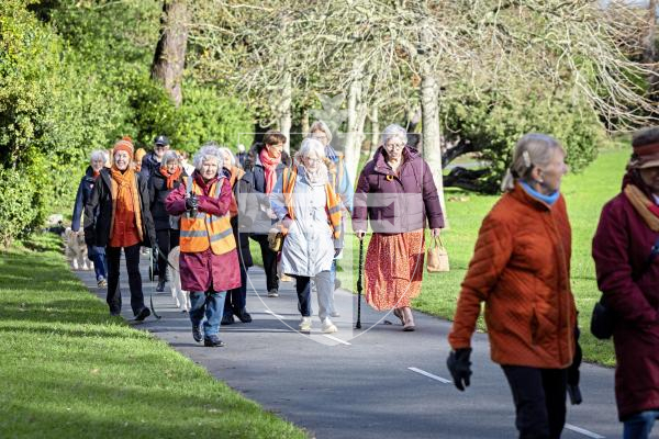 Picture by Sophie Rabey.  25-11-25.  Members of the Inner Wheel, Soroptimists and Safer walked around Saumarez Park this morning while wearing orange to support the UN 'Orange the World’ campagn to End Violence against Women and Girls.