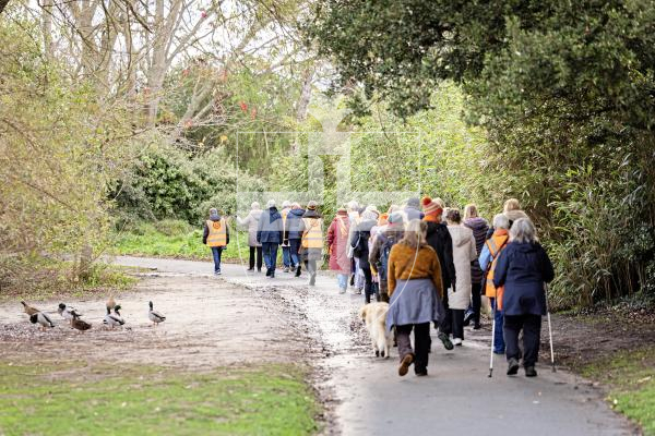 Picture by Sophie Rabey.  25-11-25.  Members of the Inner Wheel, Soroptimists and Safer walked around Saumarez Park this morning while wearing orange to support the UN 'Orange the World’ campagn to End Violence against Women and Girls.