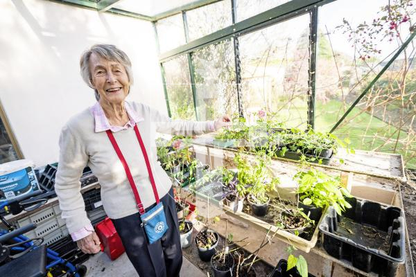 Picture by Sophie Rabey.  03-12-25.  Tattie Thompson is stepping down from Plant Heritage after 40 years involved with the organisation.