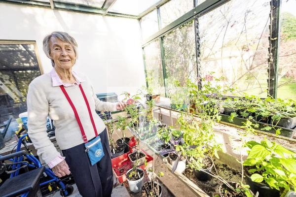 Picture by Sophie Rabey.  03-12-25.  Tattie Thompson is stepping down from Plant Heritage after 40 years involved with the organisation.