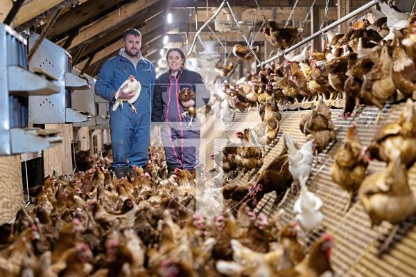 Picture by Peter Frankland. 04-12-25 Jessica and James Rihoy have now been running Guernsey Eggs Ltd for two years.