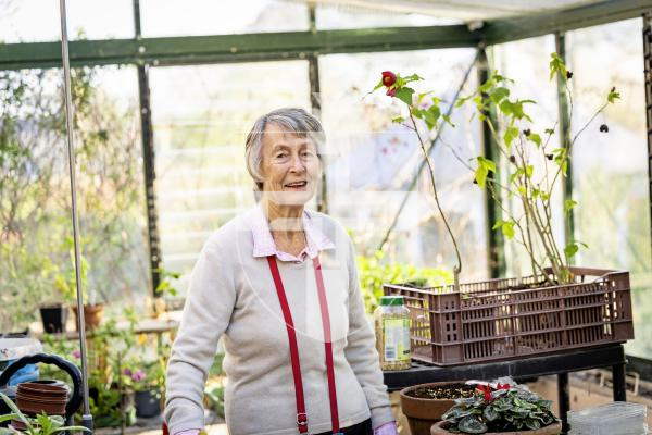 Picture by Sophie Rabey.  Picture Review of the Year 2025.  December.
We met Tattie Thompson for quite a long interview on her stepping down from Plant Heritage after 40 years involved with the organisation.  After a lovely chat about her time involved and going through lots of memories we went up to her greenhouse to set up some beautiful portraits with natural light and a deep depth of field.