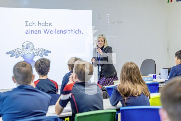 Picture by Peter Frankland. 19-01-26 Elizabeth College have had a report from the school's inspectors and have met all the required standards. Julie Dittmar is assistant principal 6th form and is pictured here giving a German class.
