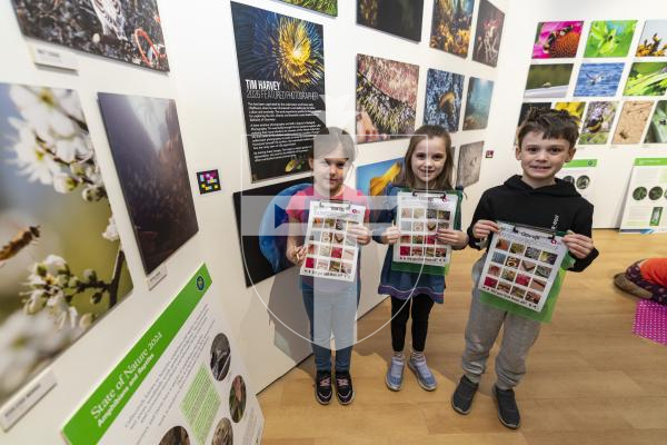 Picture by Sophie Rabey.  17-02-26.  Guernsey Arts have been hosting Half Term 'marine environment' activities at Candie Museum.  Guernsey Nature Commission held a session today.
L-R Robyn Norris (6), Evie Bougourd (7) and Charlie Bougourd (8) have been doing a nature quiz with the Bailiwick Wildlife Photography Exhibition.