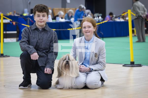 Picture by Peter Frankland. 22-02-26 Guernsey Kennel Club Dog Show at Beau Sejour. Junior handlers L-R - Lucas Beardow and Tahlia Rault with Tahlia's Shihtuz, Mickey.
Another junior handler, Isaac Le Page was not available for the picture.