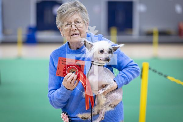 Picture by Peter Frankland. 22-02-26 Guernsey Kennel Club Dog Show at Beau Sejour. Joyce McFarlane with her Chinese Crested dog called Rocky.