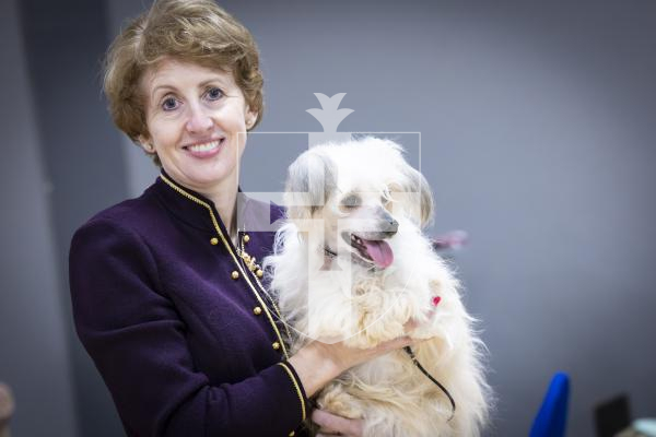 Picture by Peter Frankland. 22-02-26 Guernsey Kennel Club Dog Show at Beau Sejour. Christine Beardow with Puffy, a Chinese Crested.
