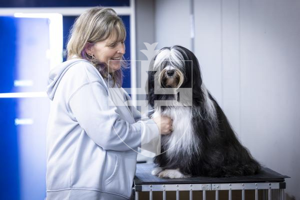 Picture by Peter Frankland. 22-02-26 Guernsey Kennel Club Dog Show at Beau Sejour. Chrissy Le Moignan with her Tibetan Terrier, Mika.