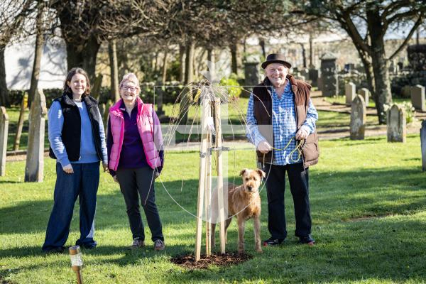 Picture by Sophie Rabey.  24-02-26.  Volunteers at St Sampson's Church Cemetery have been working hard on site to make the area beautiful.  They have planted some cherry trees (Prunus x subhirtella) on the section of land that suffered a land slip in 1969.
L-R Helen Godfrey, Jenny Marquand, Roger Baudains and dog, Murphy.