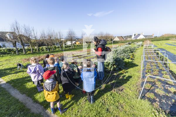 Picture by Sophie Rabey.  04-03-26.  Reception children from Vale Primary School enjoyed a trip to Les Adams Farm (the 6 acre regenerative agriculture project) as part of the States of Guernsey's Cultural Enrichment Programme.
Isabelle Edward showing the children the area.