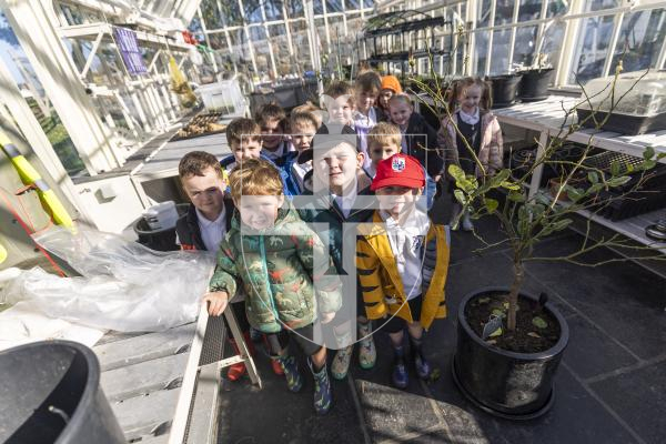 Picture by Sophie Rabey.  04-03-26.  Reception children from Vale Primary School enjoyed a trip to Les Adams Farm (the 6 acre regenerative agriculture project) as part of the States of Guernsey's Cultural Enrichment Programme.