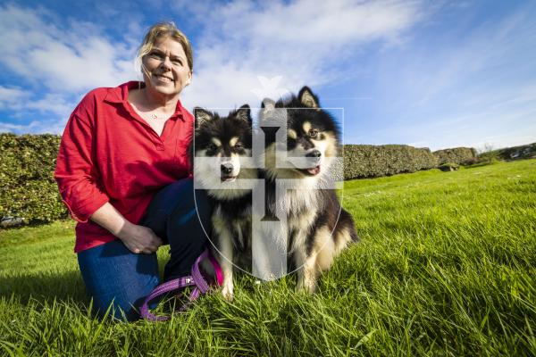 Picture by Peter Frankland. 10-03-26 Jeanette Brache with her two dogs which have done well at Crufts. The dogs are Finnish Lapphunds and are called Oreo and Talli.