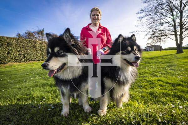 Picture by Peter Frankland. 10-03-26 Jeanette Brache with her two dogs which have done well at Crufts. The dogs are Finnish Lapphunds and are called Oreo and Talli.