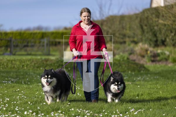 Picture by Peter Frankland. 10-03-26 Jeanette Brache with her two dogs which have done well at Crufts. The dogs are Finnish Lapphunds and are called Oreo and Talli.