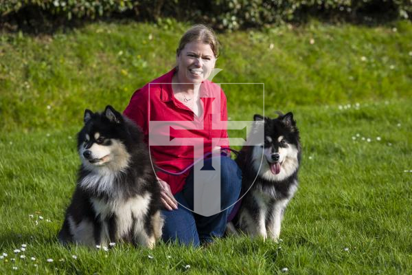 Picture by Peter Frankland. 10-03-26 Jeanette Brache with her two dogs which have done well at Crufts. The dogs are Finnish Lapphunds and are called Oreo and Talli.